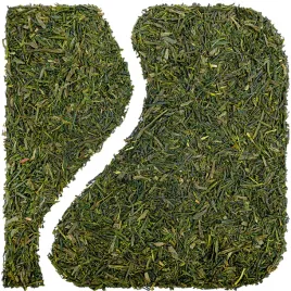 herbata-zielona-japonska-japan-sencha-miyazaki-50-g-gladka-i-harmonijna