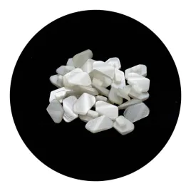 guzik-10x19mm-stopka-10szt-bialy