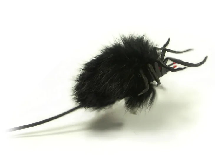 skaczacy-pajak-mix-tullo-plec-chlopcy-dziewczynki