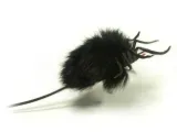 skaczacy-pajak-mix-tullo-plec-chlopcy-dziewczynki