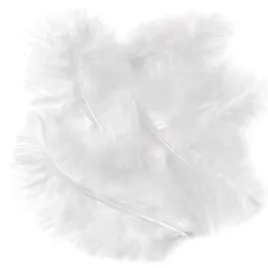 piora-indycze-biale-15cm-5szt