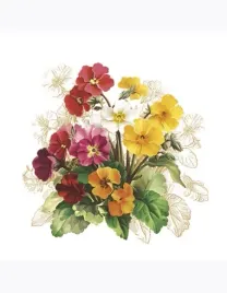 serwetki-daisy-lunch-sd-330x330-kwiaty-009701