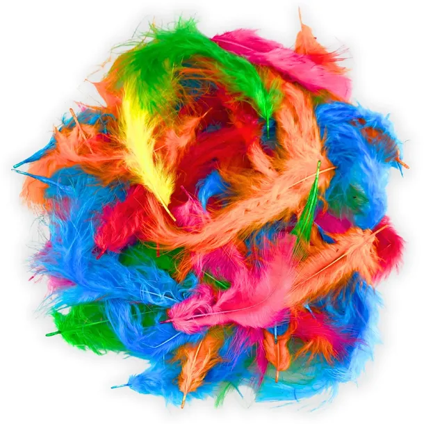 piorka-mix-10-15cm-50szt-rodzaj-naturalne