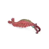 anomalocaris-bohater-brak