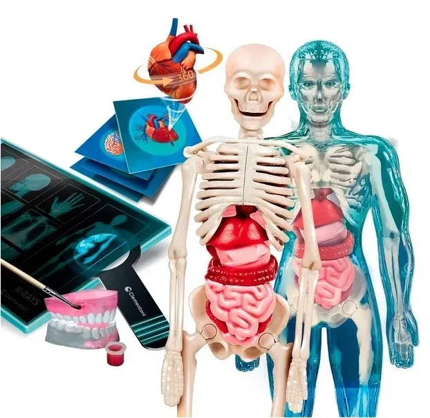 interaktywna-zabawka-edukacyjna-anatomia-clementoni-bohater-brak