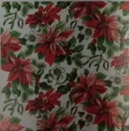 serwetka-bn-decor-cocktail-glory-poinsettia-25x25-20szt-op