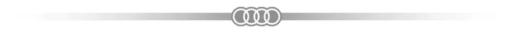 audi-iml-stitching-pattern-case-do-iphone-16-6-1-do-magsafe-hardcase-certyfikat-ce