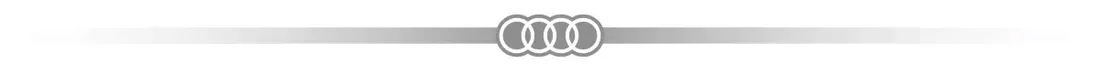 audi-iml-stitching-pattern-case-do-iphone-16-6-1-do-magsafe-hardcase