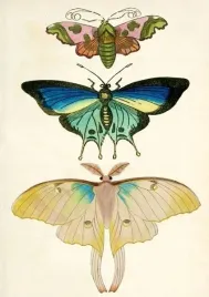 karnet-b6-z-koperta-cmy