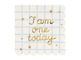 serwetki-papierowe-i-am-one-today-33x33cm