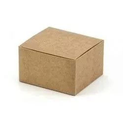 pudeleczka-kraft-6x55x35cm-10szt
