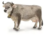 krowa-tyrolska-szara