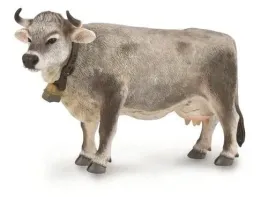krowa-tyrolska-szara