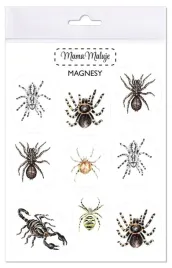 magnesy-pajeczaki