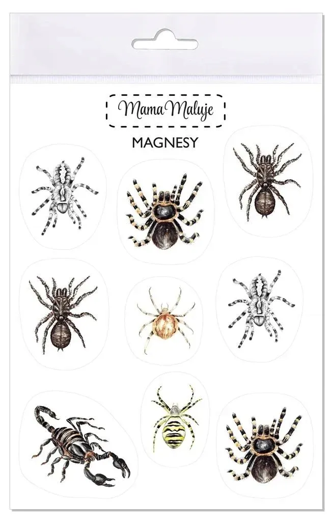 magnesy-pajeczaki