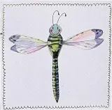 karnet-s519-wazka