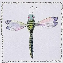 karnet-s519-wazka