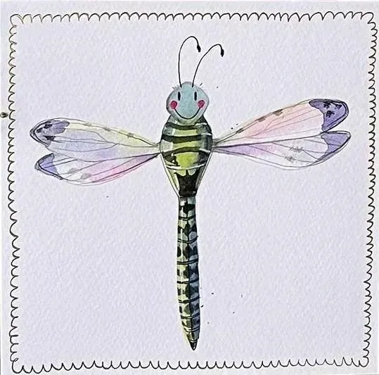 karnet-s519-wazka