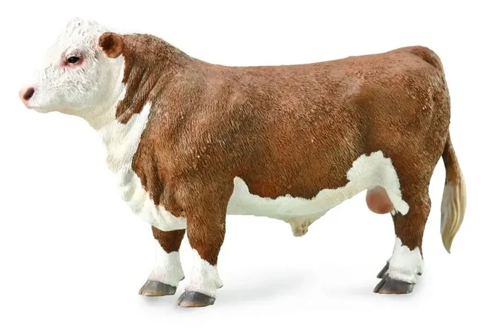 byk-hereford