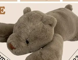 niedzwiedz-pluszowy-obciazeniowy-60-cm-15-kg