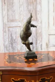 lgarska-akrobatka-gruba-kobieta-figura-z-brazu