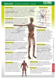 sciagawka-biologia-budowa-czlowieka-uklady