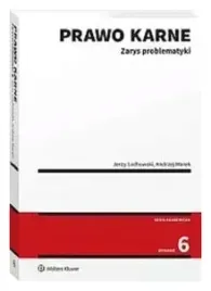 prawo-karne-zarys-problematyki-wydanie-6-jerzy