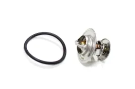 termostat-renault-laguna-i-volvo
