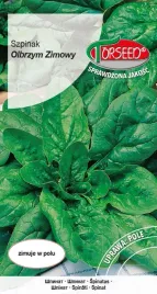 nasiona-szpinak-olbrzym-zimowy-10g-torseed-odporny