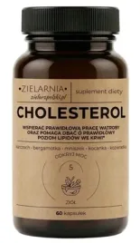 cholesterol-60-kapsulek-zielarzpolski
