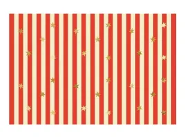 obrus-papierowy-pasy-z-gwiazdkami-180x120cm