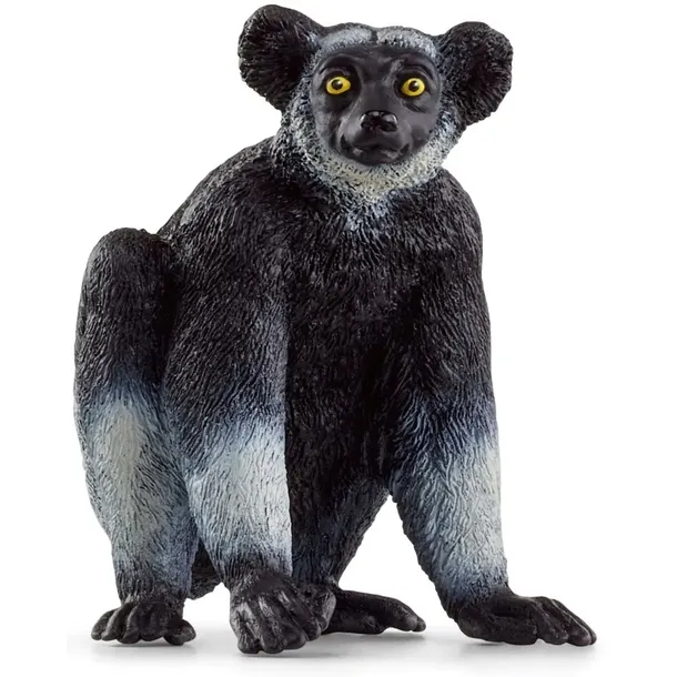 indris-wild-life-slh14877