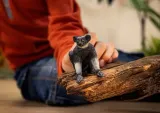 indris-wild-life-slh14877-wiek-dziecka-3-lata