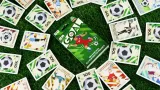 goal-stan-opakowania-oryginalne