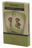 karty-piotrus-przyroda-w-lesie
