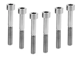 sruba-imbusowa-z-walcowym-lbem-ocynk-niepelny-gwint-m8x60-10-szt