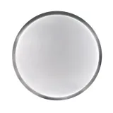 benedykt-plafon-2xe27-aluminium