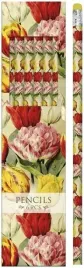 olowki-ozdobne-stpen42-tulipany-6-sztuk