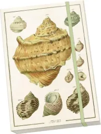 notatnik-ozdobny-a5-stnote-135-muszle