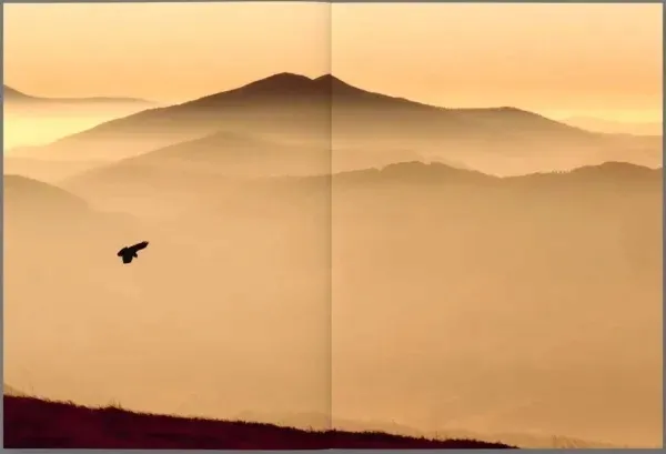 bieszczady-impresje-typ-publikacji-album