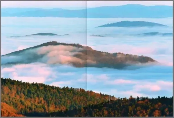 bieszczady-impresje-waga-z-opakowaniem-0-5-kg