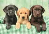 puzzle-1000-three-labs-waga-z-opakowaniem-0-kg