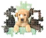 puzzle-1000-three-labs-minimalna-liczba-graczy-1