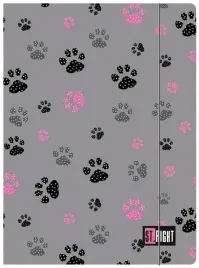 teczka-z-gumka-a4-paws