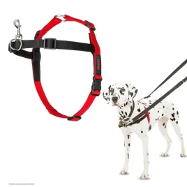 uprzaz-dla-psa-halti-obwod-60-80-cm-rozmiar-m-czerwono-czarna