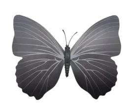 magnes-motyl-3d-ozdobny-na-lodowke-m59-czarny