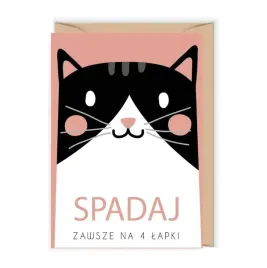 kernet-urodzinowy-ze-spadajacym-kotem