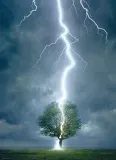 puzzle-1000-lighting-striking-tree-6000-4570-stan-opakowania-oryginalne