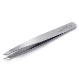 nghia-export-peseta-t-03