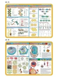 podkladka-edu-057-budowa-i-replikacje-dna